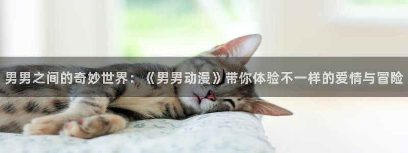 囧次元app官网入口下载：男男之间的奇妙世界：《男男动漫》带你体验不一样的爱情与冒险