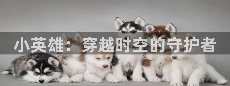 囧次元app免费下载：小英雄：穿越时空的守护者