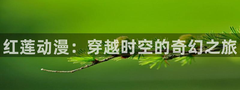 囧次元官方下载正版