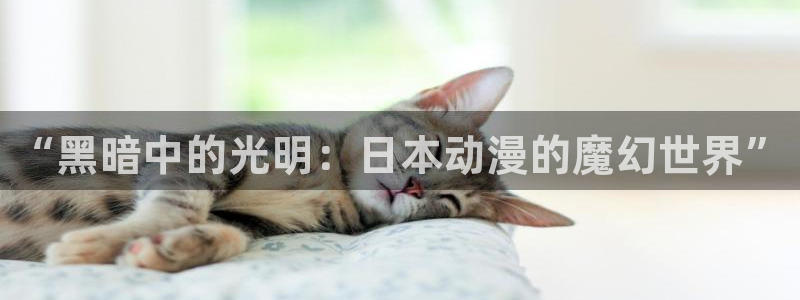 囧次元app下载入口最新版本