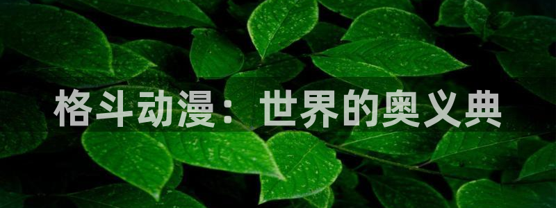 囧次元动漫app官网