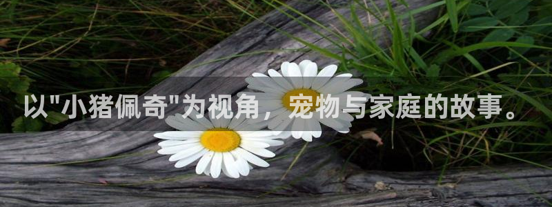 囧次元app下载官方版