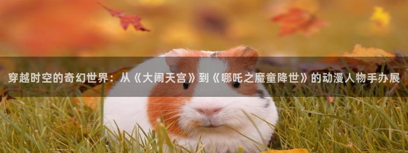 囧次元官方app下载