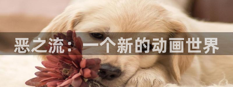 囧次元苹果版官方网站入口