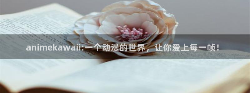 囧次元免费看动漫