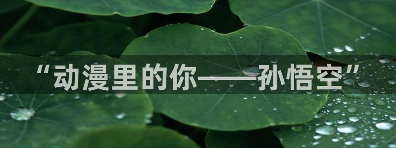 jcyapp:org囧次元官网