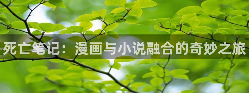 囧次元旧版