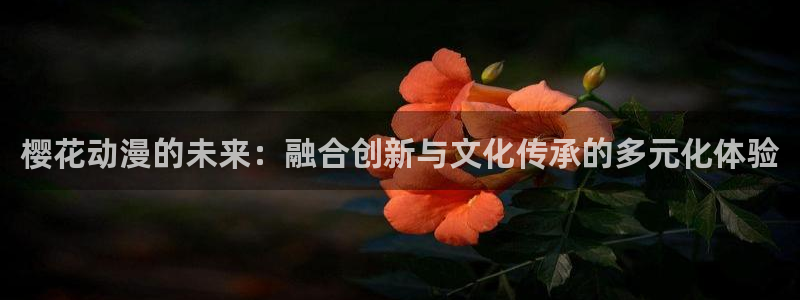囧次元在线观看入口