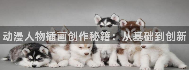 囧次元免费下载
