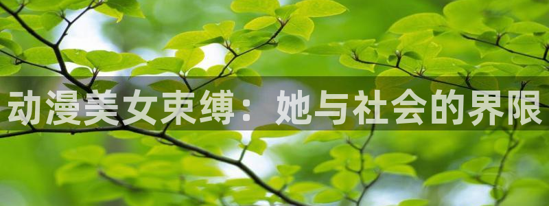 囧次元app下载官网版