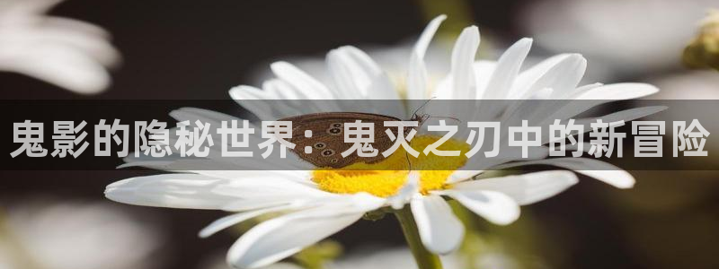 囧次元官方版