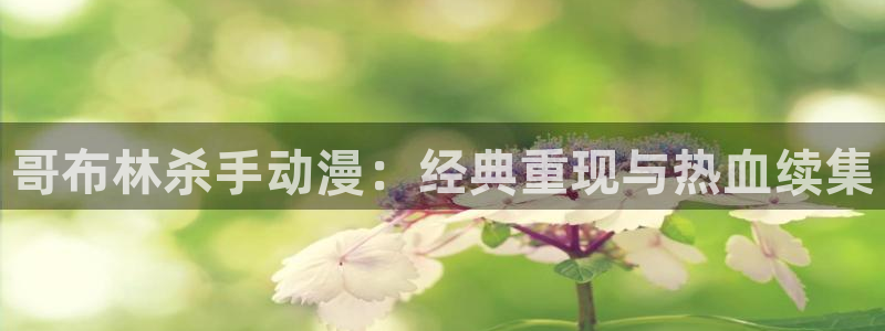 囧次元新版本下载