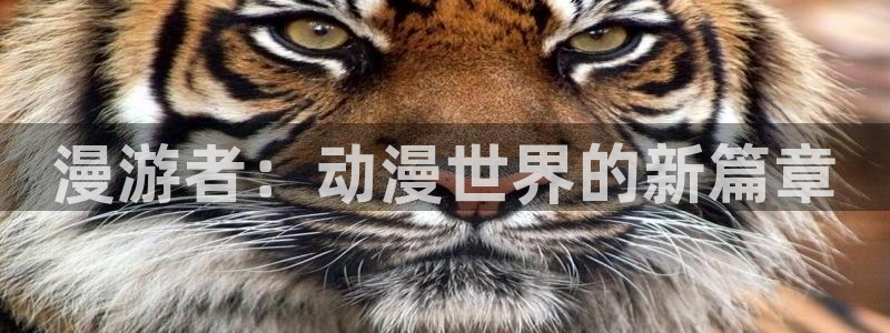 囧次元网页版入口网址