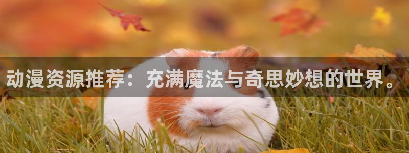 囧次元的官方网站