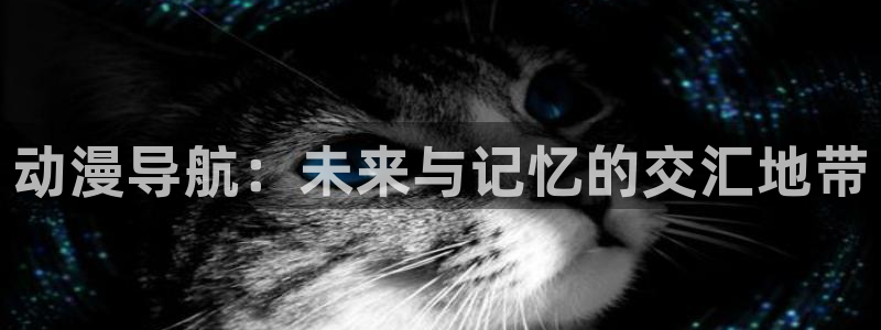囧次元官方下载正版