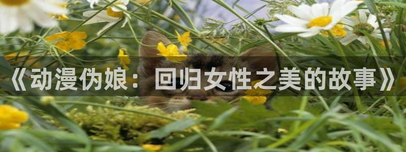 囧次元动漫官网下载入口