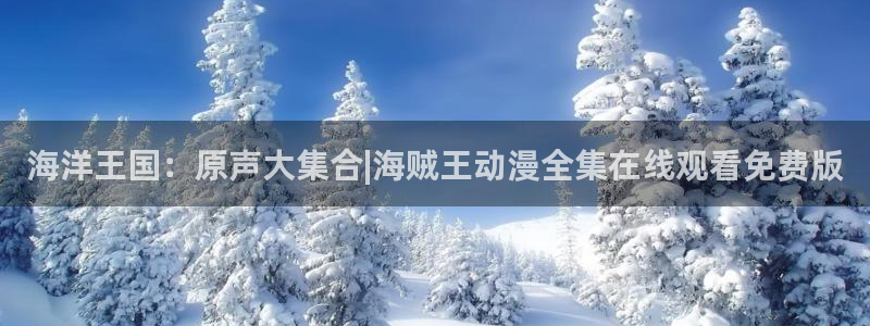 囧次元app下载官网版