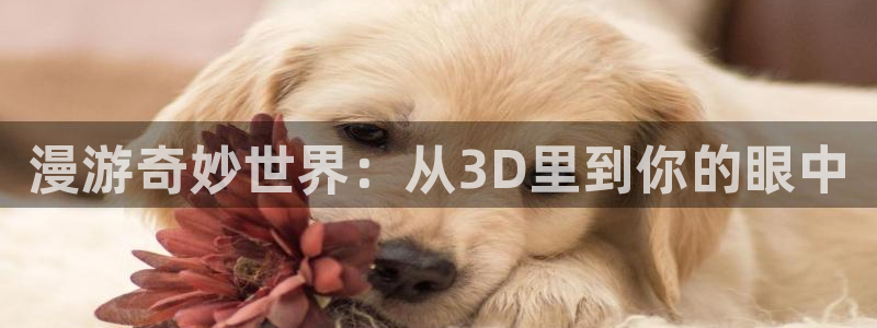 囧次元app免费下载：漫游奇妙世界：从3D里到你的眼中