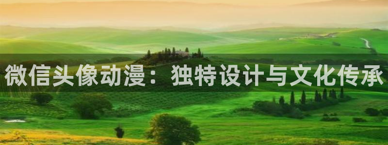 囧次元官方网站入口官网在线观看：微信头像动漫：独特设计与文化传承