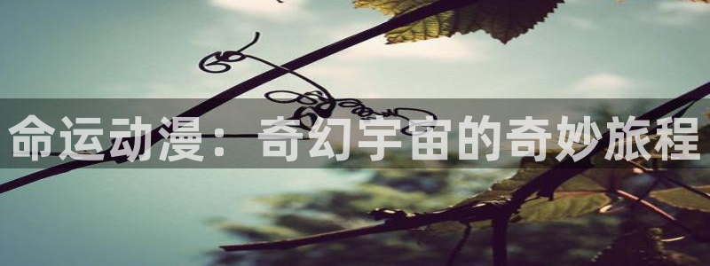 囧次元动漫下载app官网