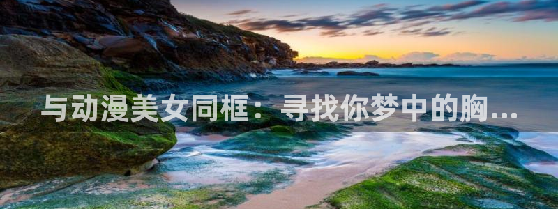 囧次元下载正版