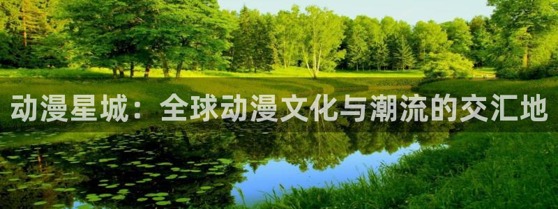 囧次元为什么打不开了