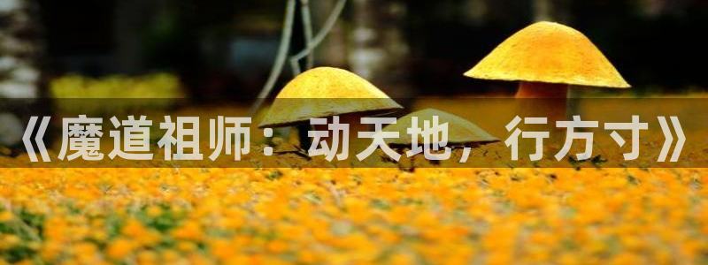 囧次元正版入口