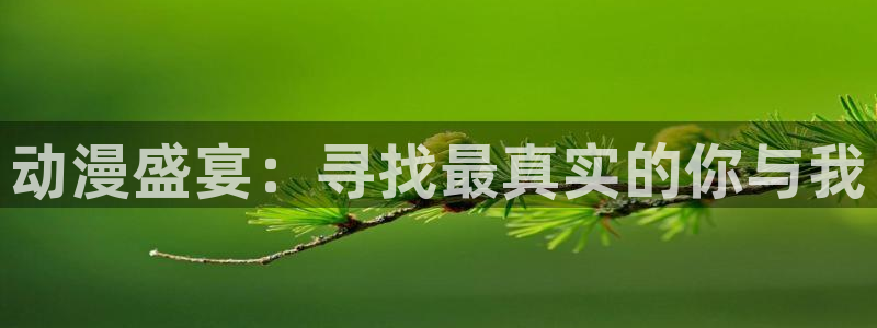 囧次元官方版