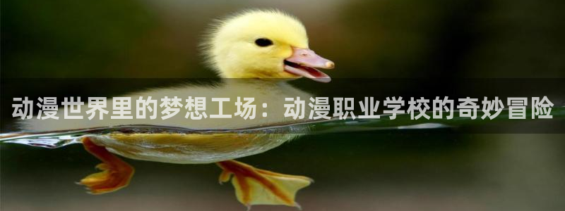 囧次元app最新版本