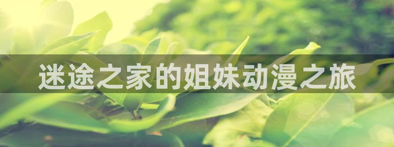 囧次元是哪个公司的