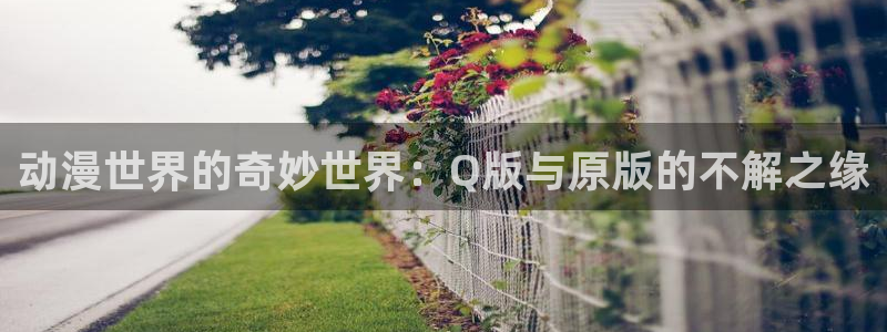 囧次元为什么打不开了