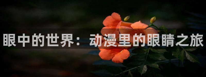 囧次元热门动漫有哪些