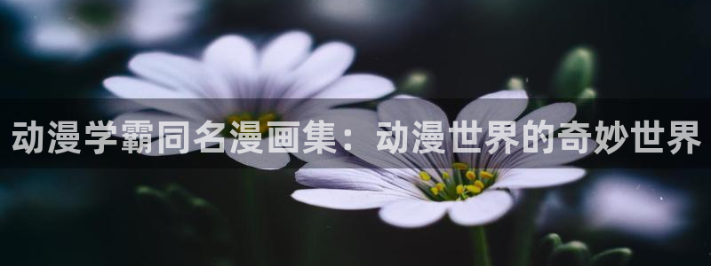 囧次元安卓版下载