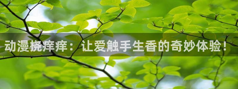 囧次元官方网址
