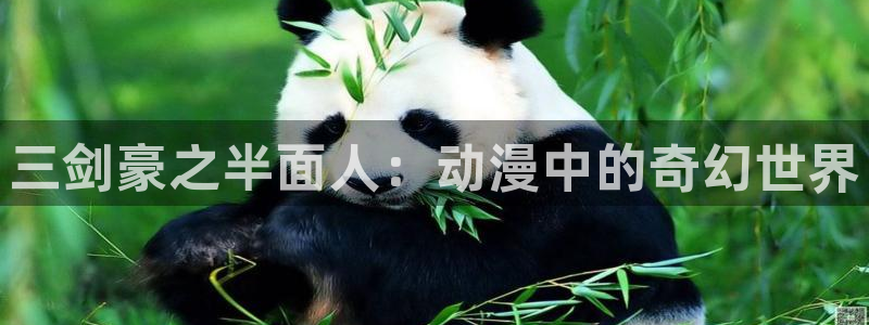 囧次元软件下载