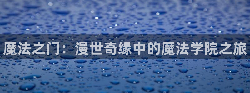 囧次元网页版入口网址