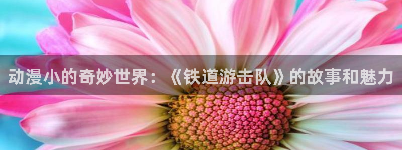 囧次元app官方正版下载
