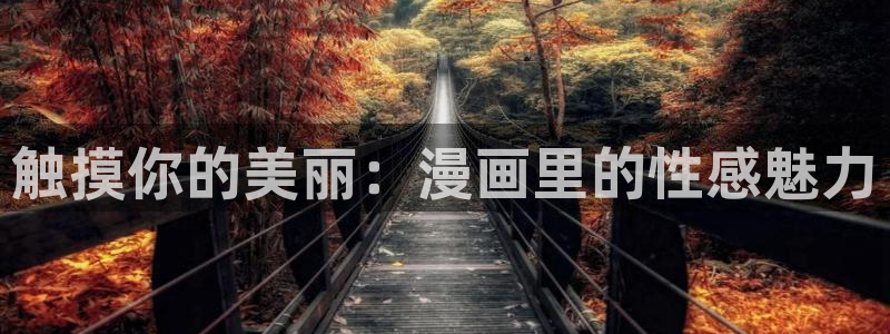 正版囧次元