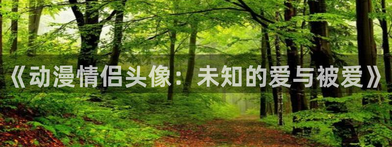 囧次元正版官方下载