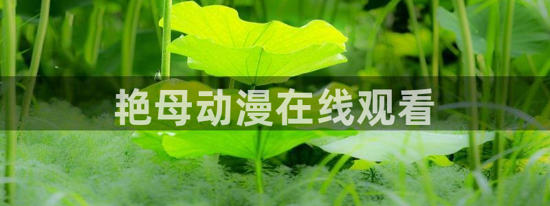 囧次元动漫app官网