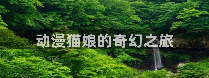 囧次元免费下载
