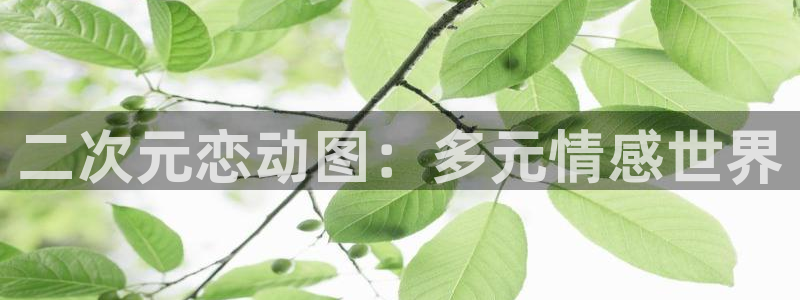 囧次元老版本