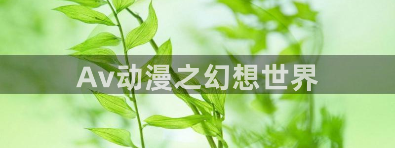 囧次元网站链接