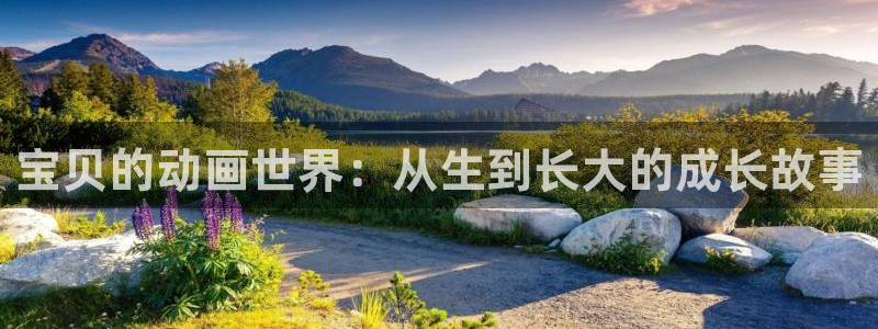 囧次元下载正版官网