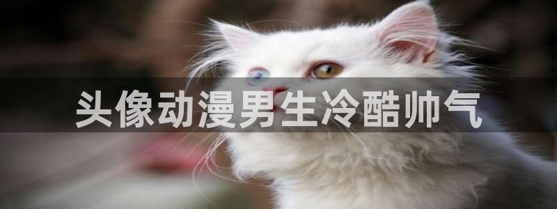 囧次元app正版