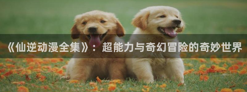 囧次元老版本
