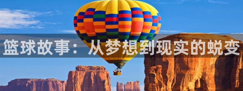 囧次元官方网站入口更新