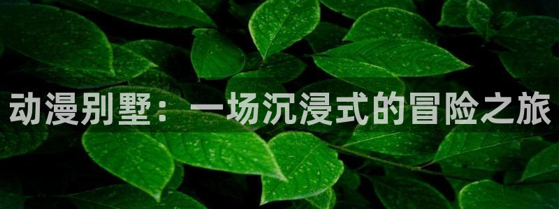 囧次元官网入口