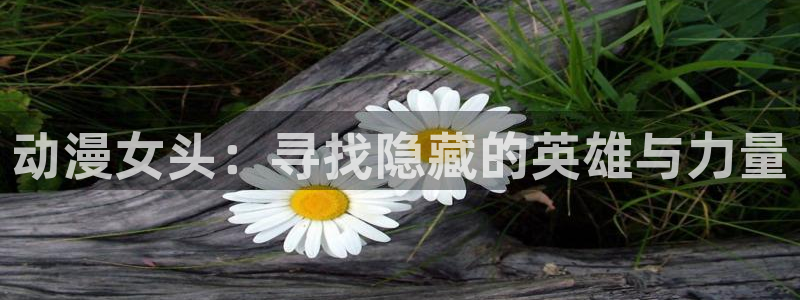 囧次元下载官方正版