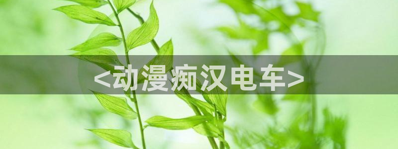 囧次元官方网站入口下载